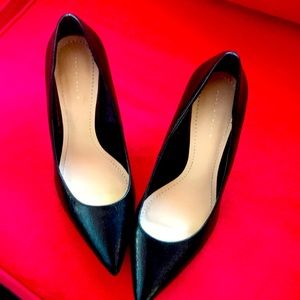 Zara Black Hill collection